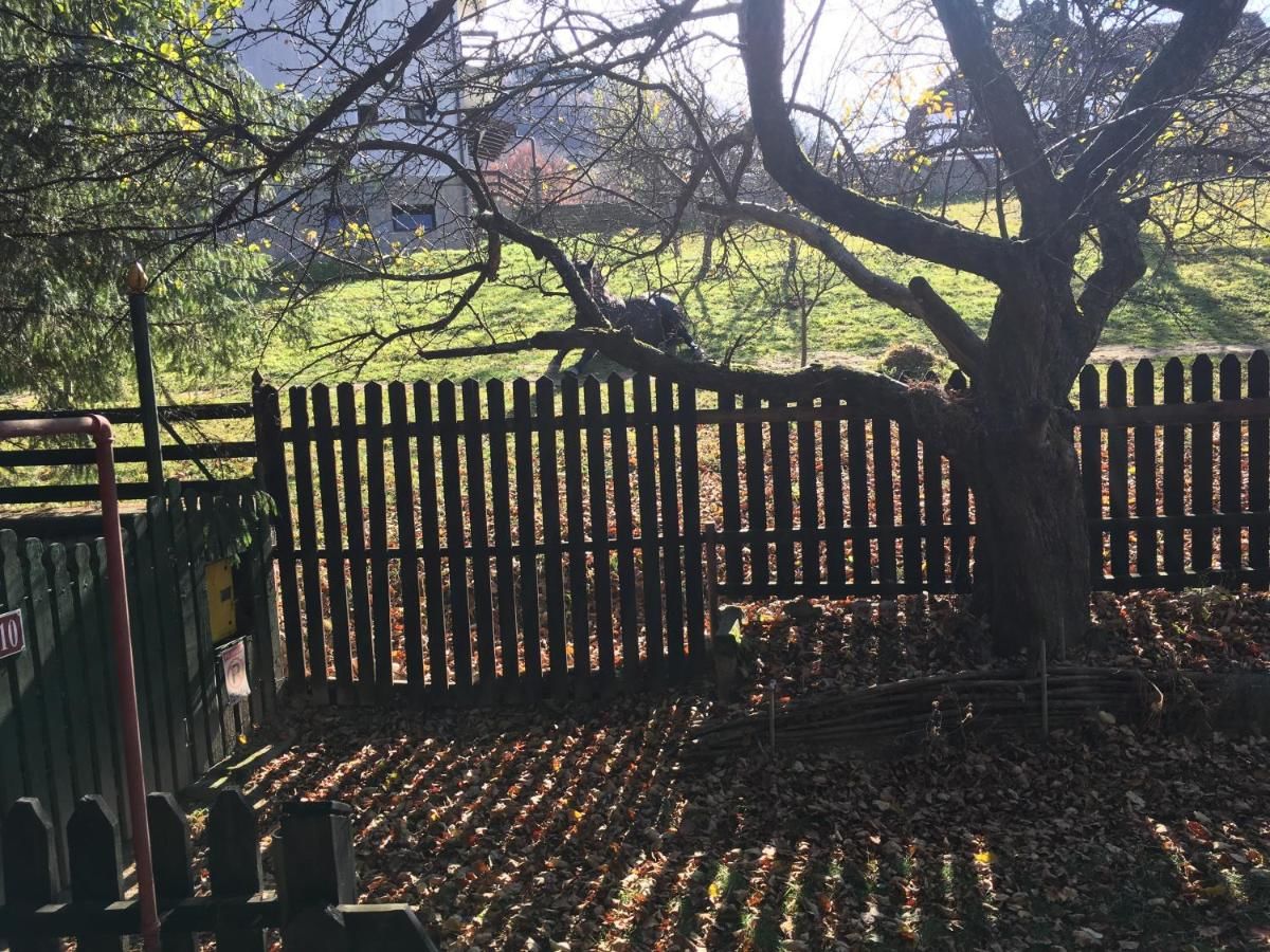 Лоджи Cabana Sabrina Бран-21