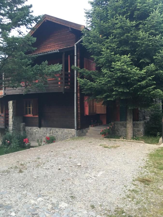 Лоджи Cabana Sabrina Бран-5