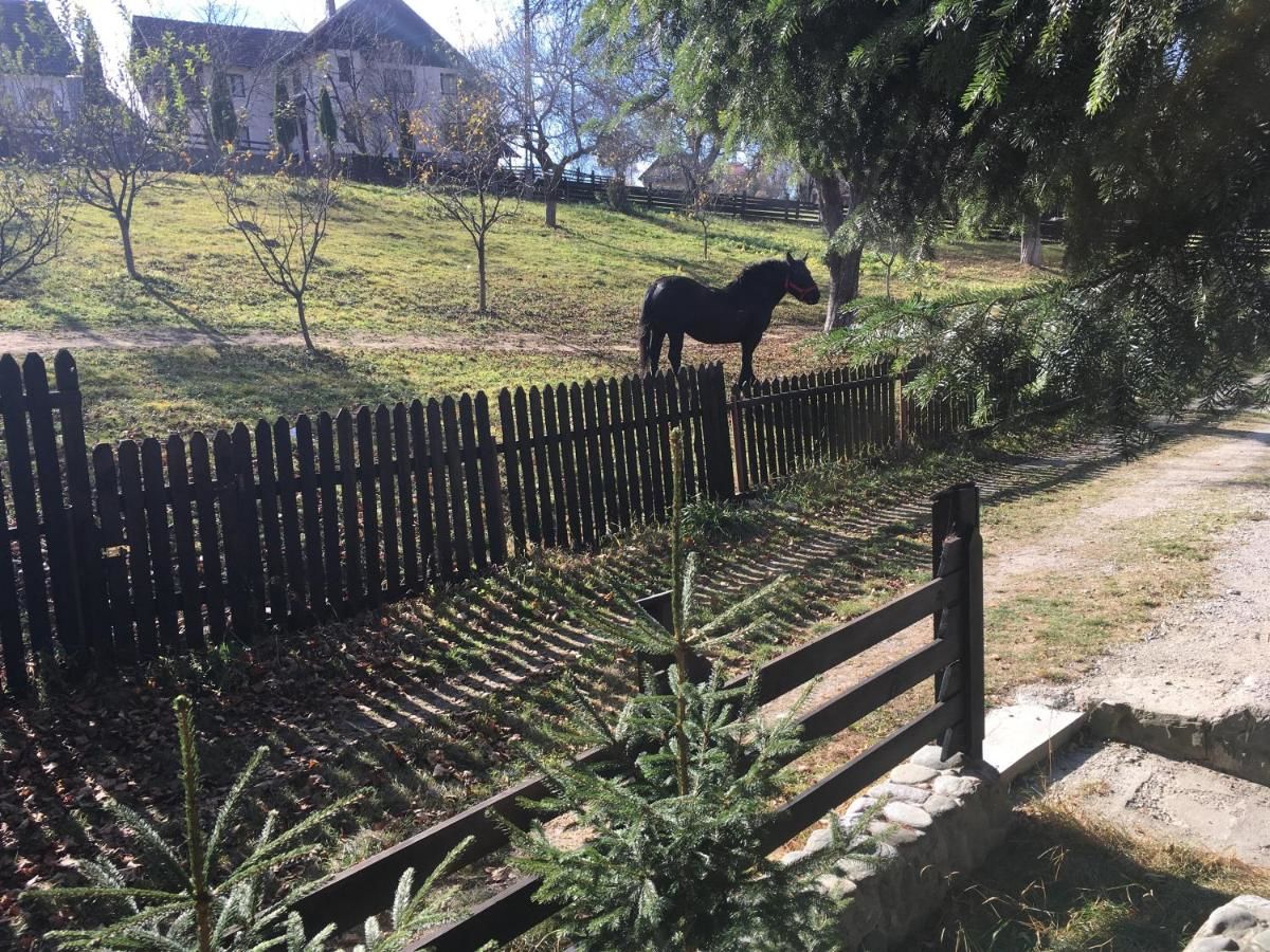 Лоджи Cabana Sabrina Бран-23