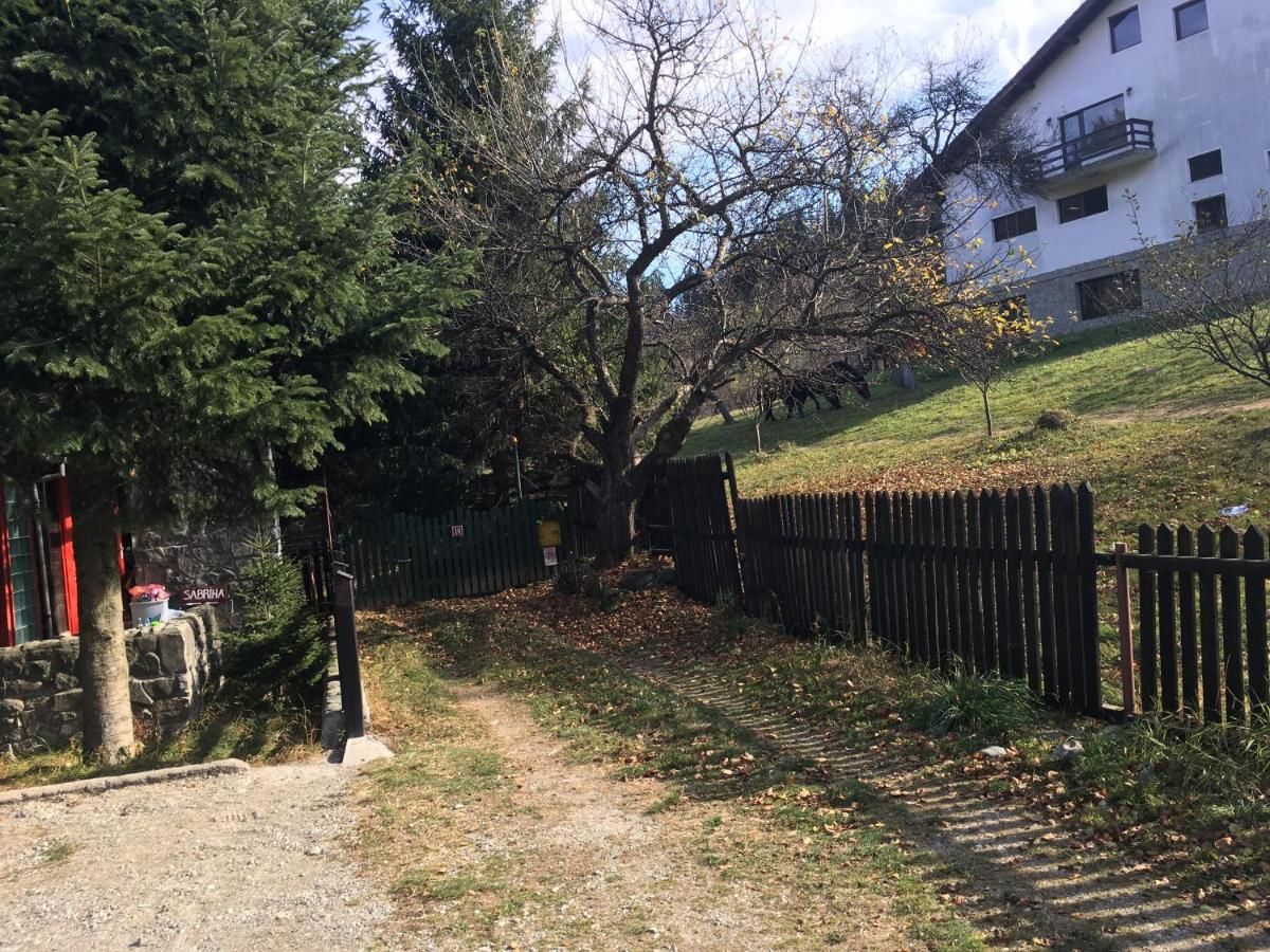 Лоджи Cabana Sabrina Бран-26