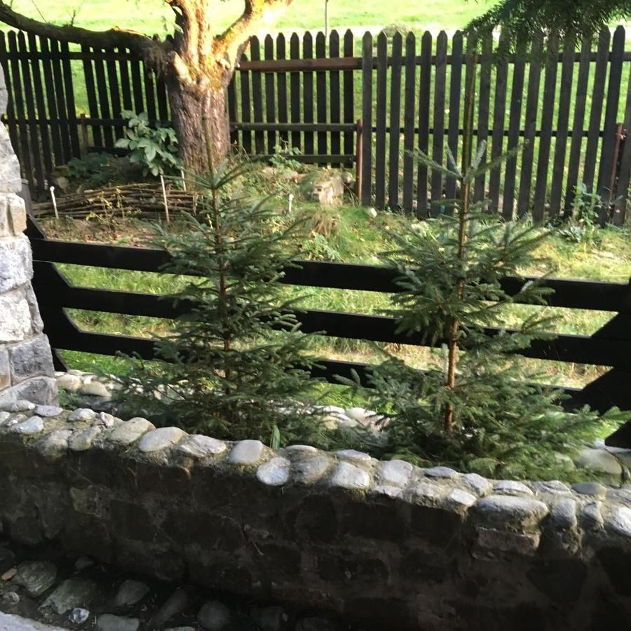 Лоджи Cabana Sabrina Бран-31