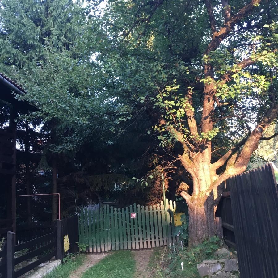 Лоджи Cabana Sabrina Бран-32