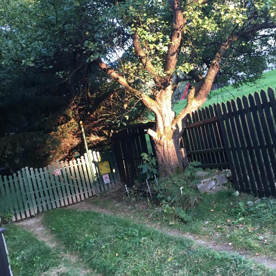 Лоджи Cabana Sabrina Бран-34