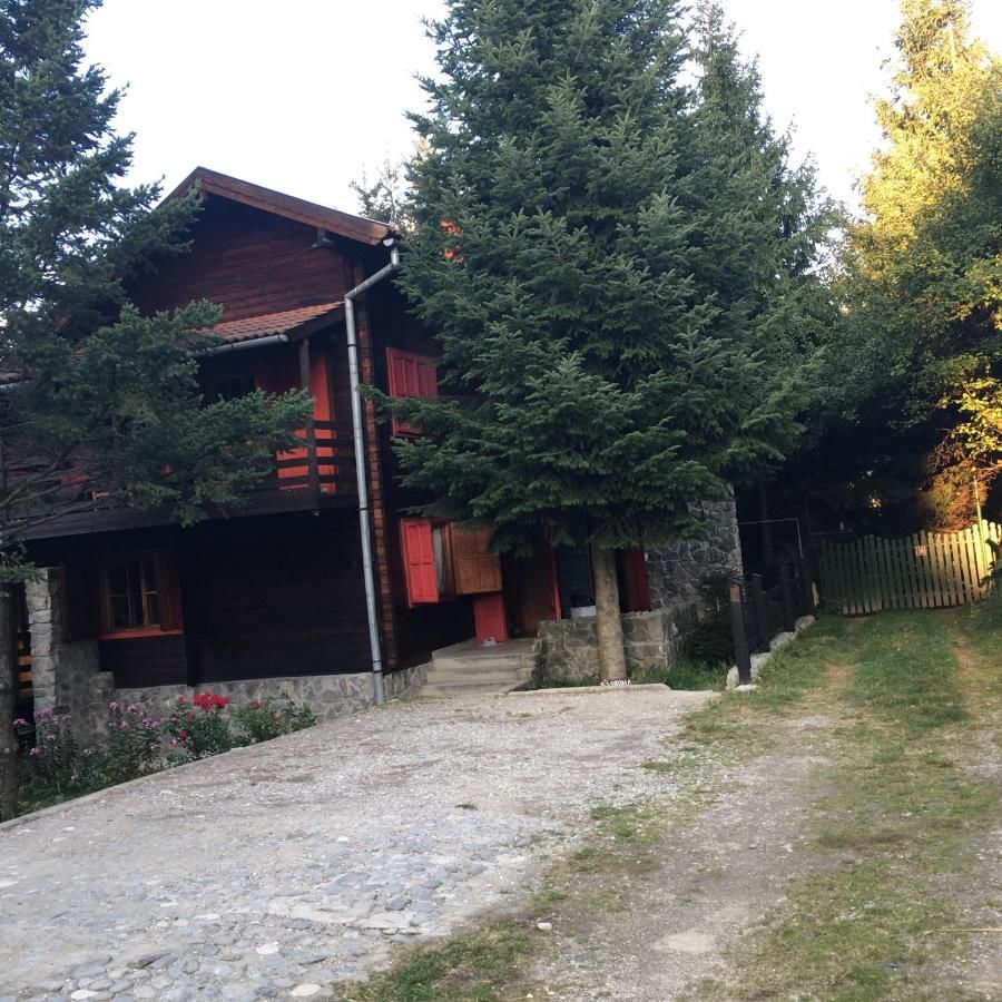 Лоджи Cabana Sabrina Бран-35