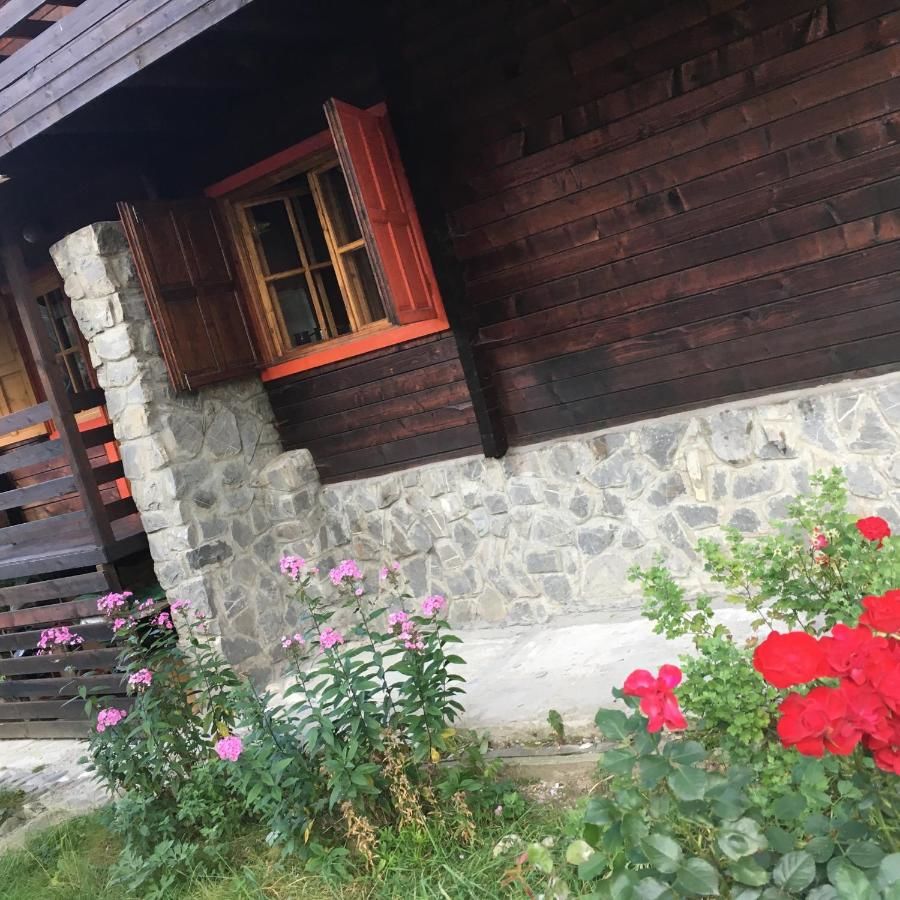 Лоджи Cabana Sabrina Бран-41