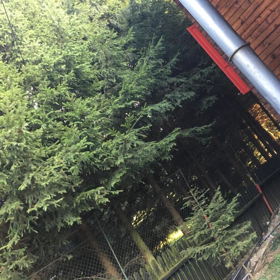 Лоджи Cabana Sabrina Бран-43