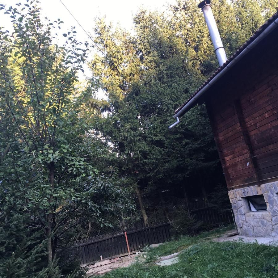 Лоджи Cabana Sabrina Бран-44