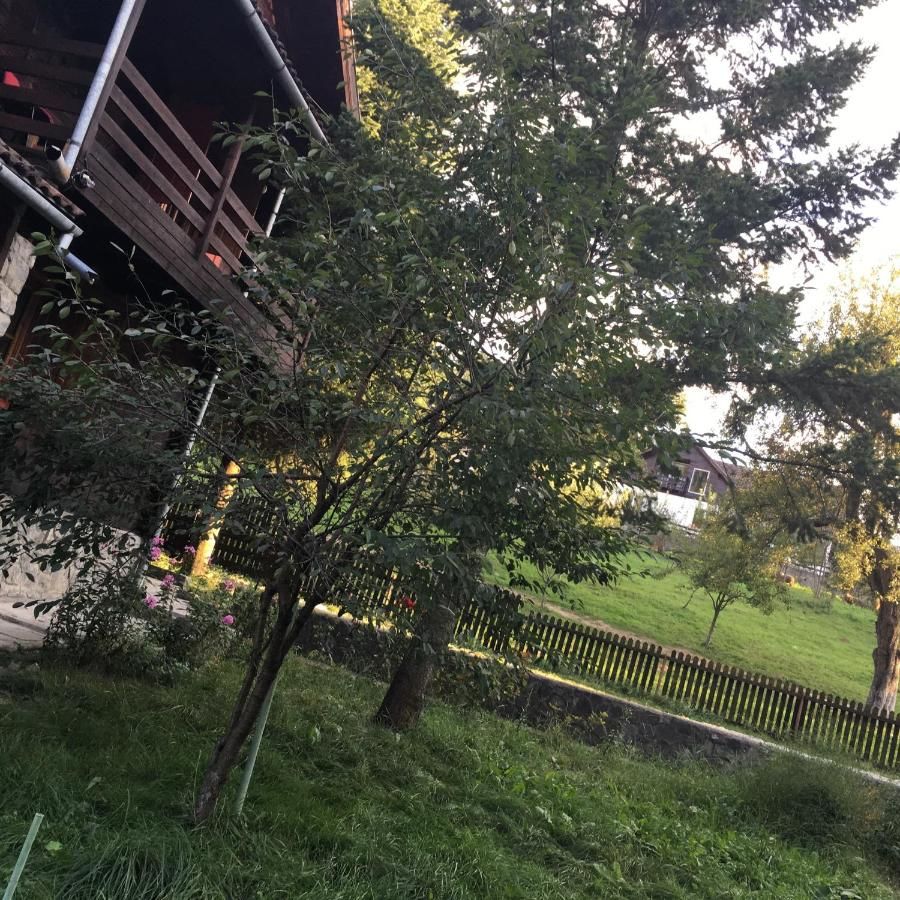 Лоджи Cabana Sabrina Бран-45